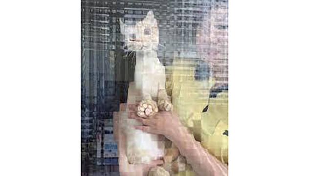 twitter @2007narutoamv