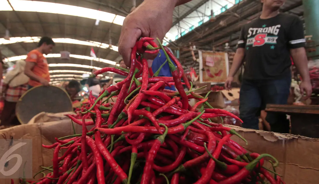 Pedagang tengah menata cabai dagangannya di Pasar Induk Kramat Jati, Jakarta, Selasa (24/11). Harga cabai, baik cabai merah keriting dan rawit, mengalami kenaikan di pasar tradisional. (Liputan6.com/Angga Yuniar)