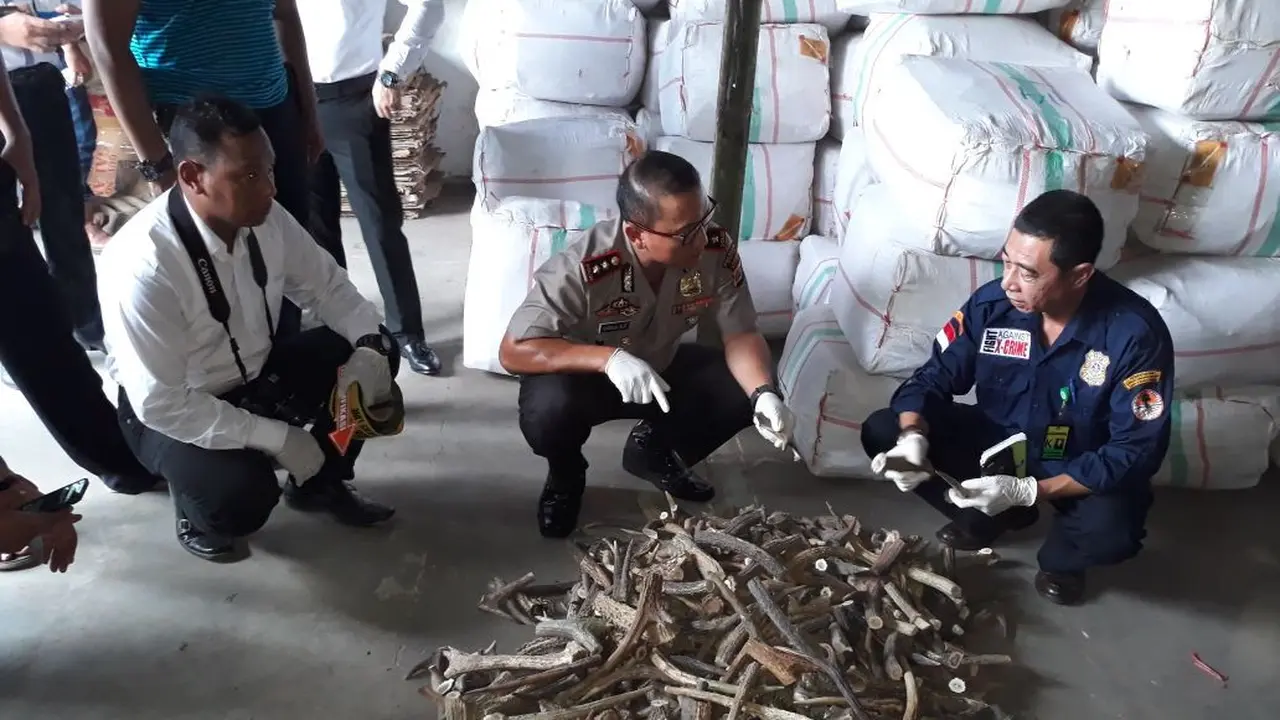 Polisi gerebek gudang satwa langka