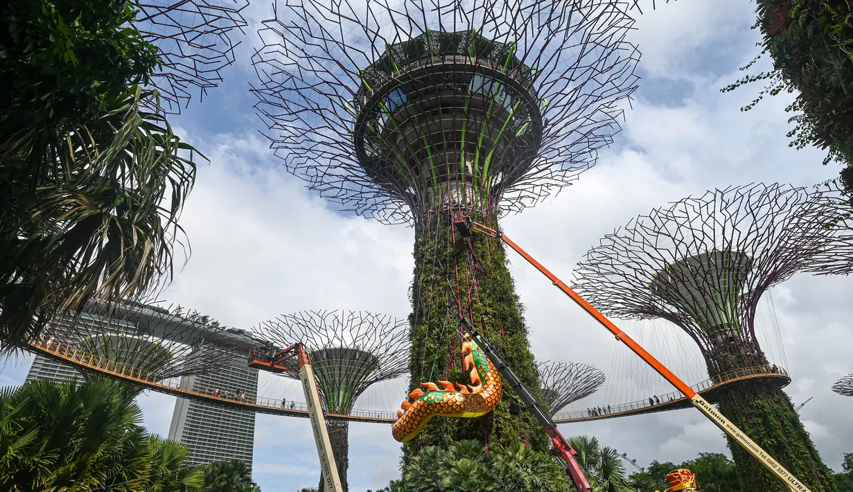 Derek mengangkat bagian-bagian dari struktur naga yang dipasang sebagai persiapan untuk Tahun Baru Imlek mendatang di sekitar jalur pengamatan hutan Supertrees di Gardens by the Bay, Singapura, pada tanggal 15 Januari 2024. (Roslan RAHMAN/AFP)