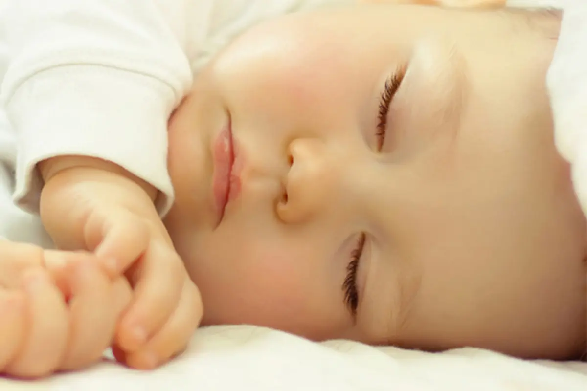 Foto: Copyriht Shutterstock.com
