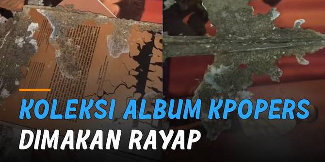 VIDEO: Dimakan Rayap, Koleksi Album KPopers Hancur