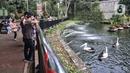 Wisatawan saat mengamati salah satu koleksi satwa di Taman Margasatwa Ragunan, Jakarta, Jumat (14/5/2021). Taman Margasatwa Ragunan diperuntukan khusus bagi warga ber-KTP DKI Jakarta. (merdeka.com/Iqbal S. Nugroho)