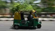 Pengemudi bajaj Mahender Kumar mengendarai kendaraan dengan 'taman' di atapnya, di New Delhi, India pada 2 Mei 2022. Bajaj kuning dan hijau ada di mana-mana di jalan-jalan New Delhi tetapi kendaraan Mahendra Kumar sangat menonjol -- ia memiliki taman di atapnya bertujuan untuk menjaga penumpang tetap sejuk selama musim panas yang menyengat. (Money SHARMA / AFP)