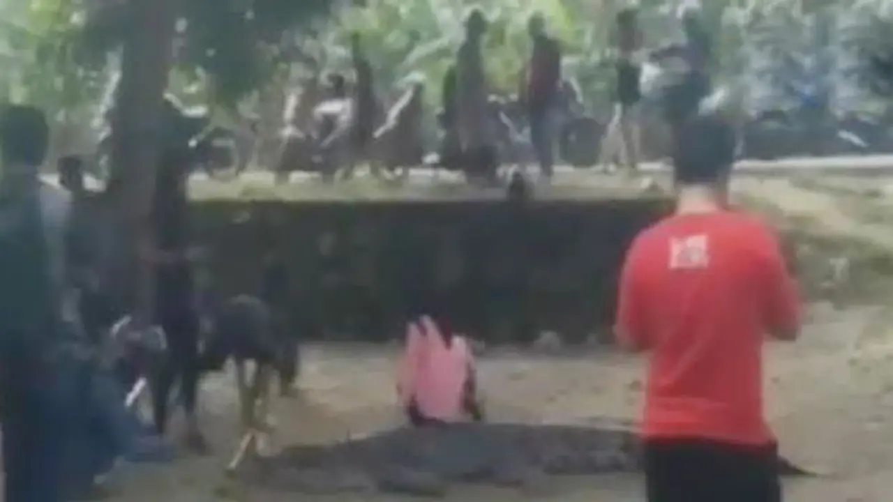 Buaya