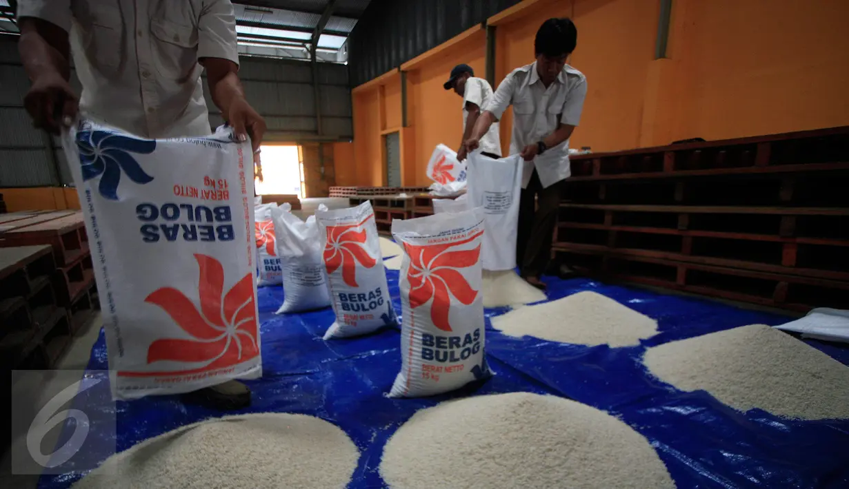 Petugas mengecek kadar kuwalitas beras sebelum di distribusikan di Gudang Bulog DIY, Kalasan,Sleman, (27/1). Stok tersebut cukup untuk distribusi hingga lima bulan ke depan. (Boy Harjanto)
