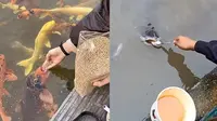 10 Potret Orang Beri Makan Ikan Layaknya Manusia Ini Kocak (sumber: Instagram/wkwkland_real/haii.cewek)