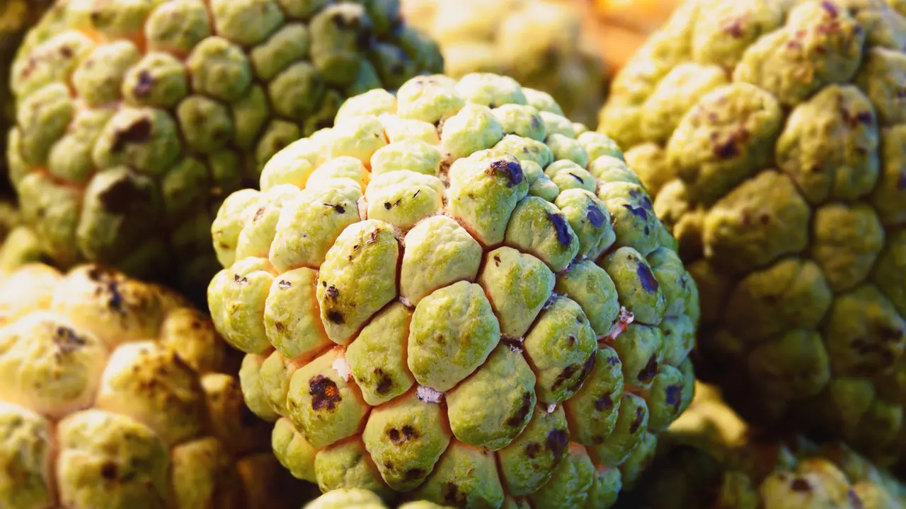 Manfaat buah srikaya