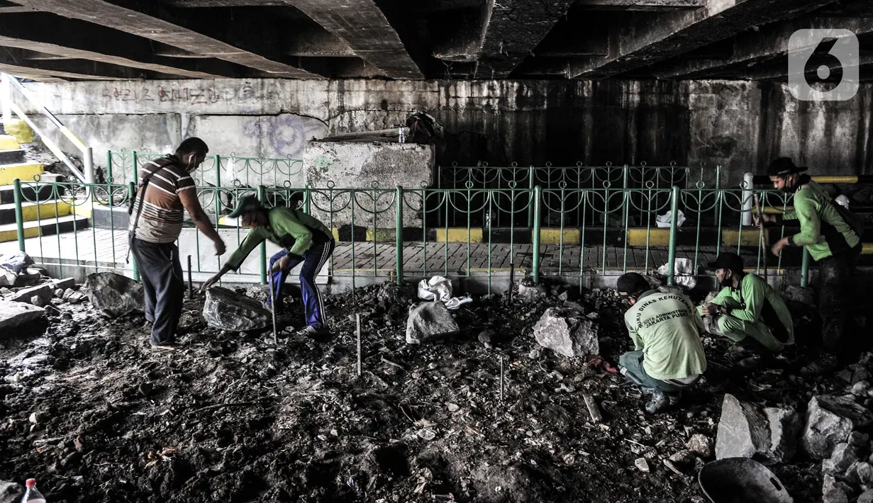 Petugas Suku Dinas Pertamanan Jakarta Pusat menyelesaikan pembangunan taman di kolong Jembatan Pegangsaan, Jakarta, Selasa (19/1/2021). Selain taman, nantinya kolong jembatan tersebut akan dilengkapi lampu-lampu, kolam ikan, dan area memancing. (merdeka.com/Iqbal S. Nugroho)