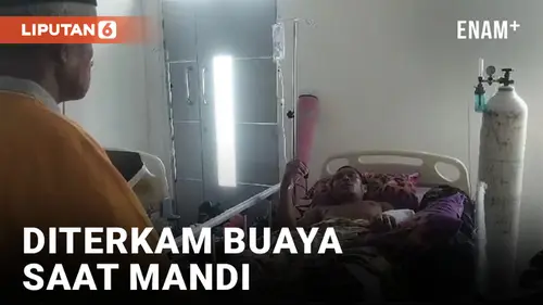 VIDEO: Lagi Mandi, Petani Diseret Buaya 4 Meter