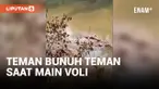 Hanya Merasa Tersinggung Saat Main Voli, Teman Gorok Leher Teman Sendiri