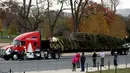 Sebuah truk besar membawa pohon natal yang akan dipasang tiba di halaman sebelah barat Gedung Capitol US di Washington, AS (28/11). Pohon tersebut adalah pohon Engelmann Spruce setinggi 80 kaki yang didatangkan dari Idaho. (Reuters/Gary Cameron)