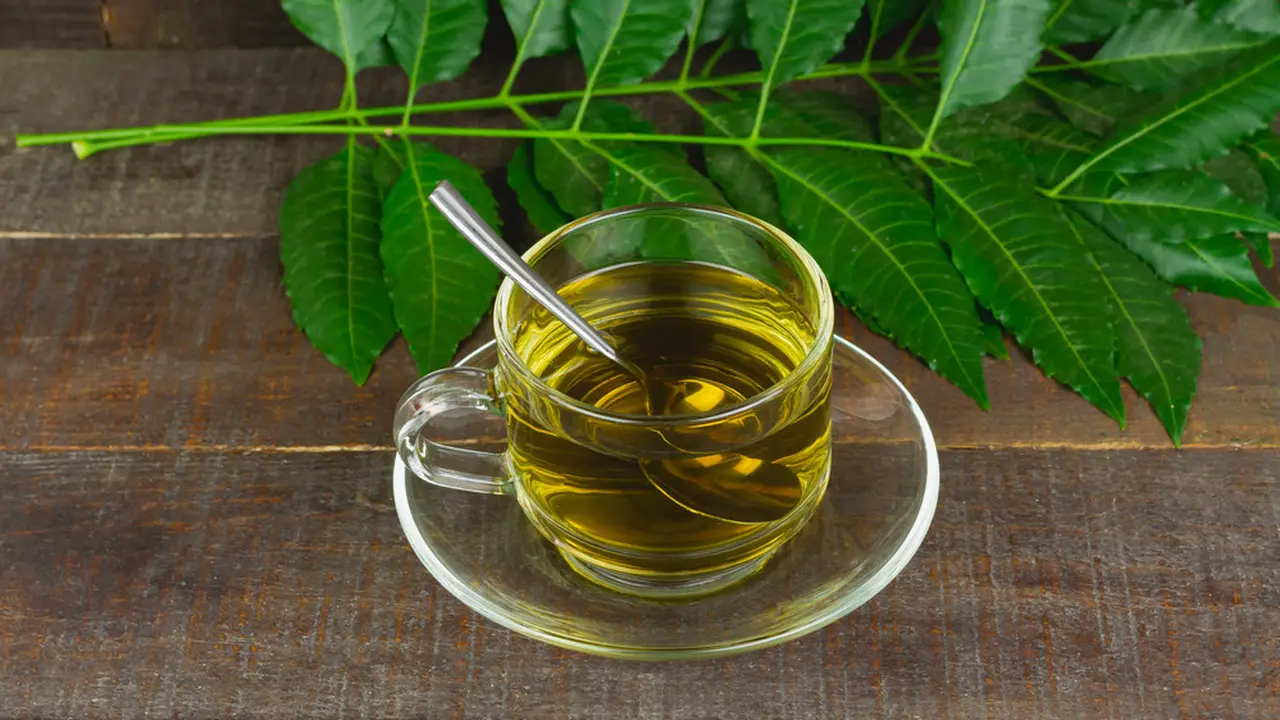 seduhan rebusan daun neem mimba