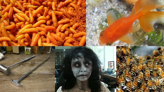 Courtesy Vemale.com/BSB