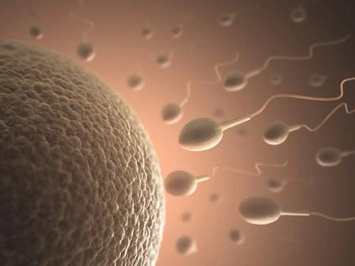 Perempuan 15 Tahun Positif Hamil Setelah Menelan Sperma - Health  Liputan6.com