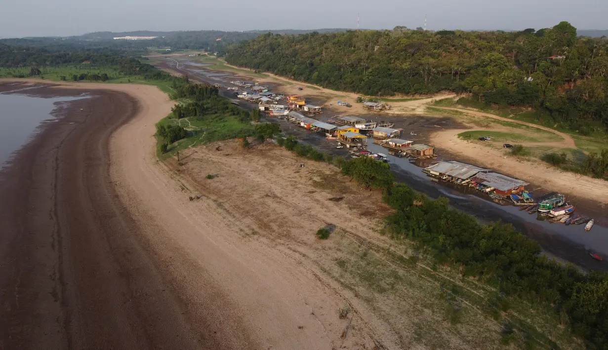 Hutan hujan Amazon di Brasil menghadapi kekeringan parah yang dapat berdampak pada sekitar 500.000 orang hingga akhir tahun ini. (AP Photo/Edmar Barros)
