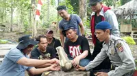 Tim Ahli Cagar Budaya Indramayu melakukan pengamatan terhadap temuan fosil Gajah Purba yang ditemukan warga. Foto (Liputan6.com / Panji prayitno)