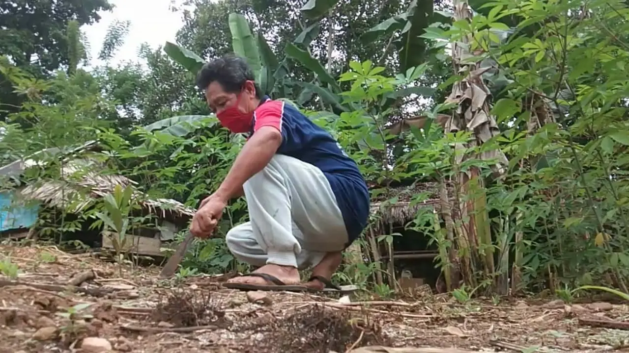 Pandemi Corona Covid-19, La Jara (54), pria asal Desa Kabawa Kole, Kabupaten Buton pilih tinggal di kebun untuk mengisolasi diri sejak turun dari KM Lambelu, Senin (6/4/2020).(Liputan6.com/Ahmad Akbar Fua)