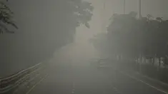 Kendaraan bermotor menembus kabut asap pekat yang menyelimuti jalan di New Delhi, Minggu (3/10/2019). Ibu Kota dari India tersebut sedang dilanda polusi udara yang sangat buruk sekaligus beracun pekan ini. (Photo by Sajjad  HUSSAIN / AFP)