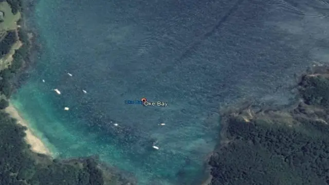 Penampakan monster di Selandia Baru (Google Earth)
