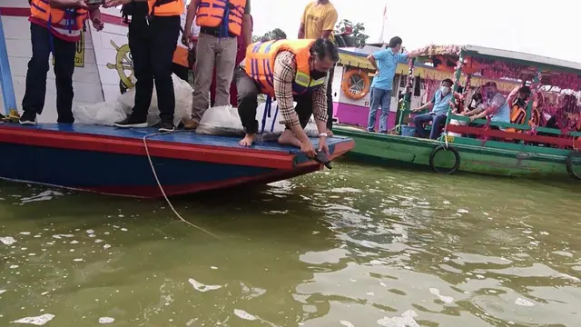 Melepaskan ikan