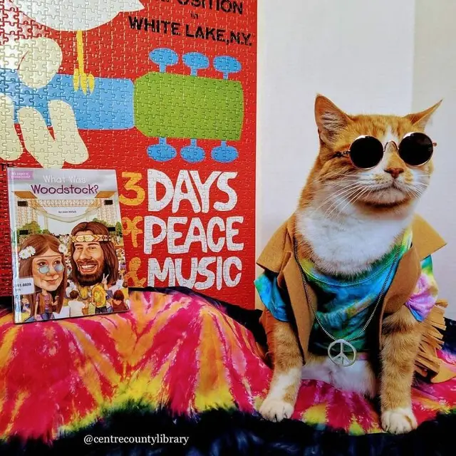 10 Potret Kucing Cosplay Sebagai Ikon Sastra dan Film Bikin Gemas