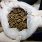 Para pejabat Thailand memperlihatkan beberapa ganja sebelum konferensi pers di Bangkok, Selasa (25/9). Kepolisian Thailand menyerahkan sekitar 100 kilogram ganja yang disita untuk penelitian medis. (AP/Sakchai Lalit)