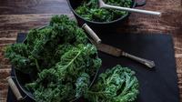 Tips mengolah daun kale./Copyright shutterstock.com