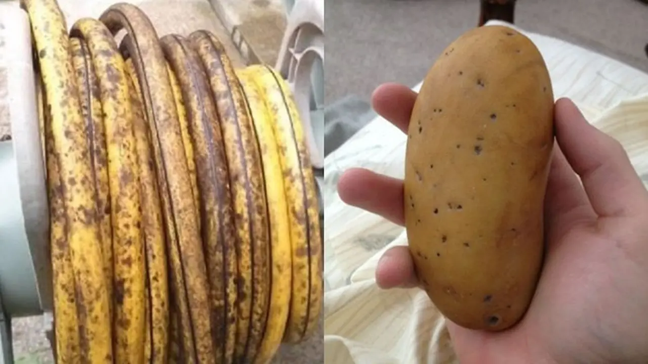 6 Godaan Puasa Barang Mirip Buah dan Sayur Ini Bikin Kucek Mata