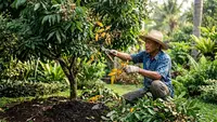 7 Cara Mengatasi Kelengkeng yang Rimbun Daun tetapi Tidak Berbunga, Begini Cara Merawatnya