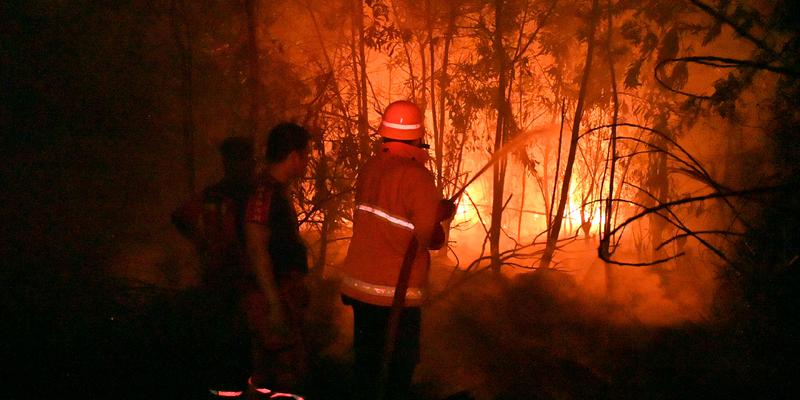 Ayollar oyoqlarini yoyishadi (porno surat)