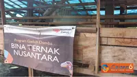 Tak akan Ada Lagi Peternak Domba di Subang?