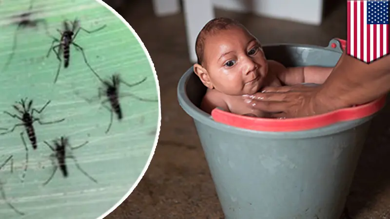 10 Fakta Mencengangkan tentang Virus Zika