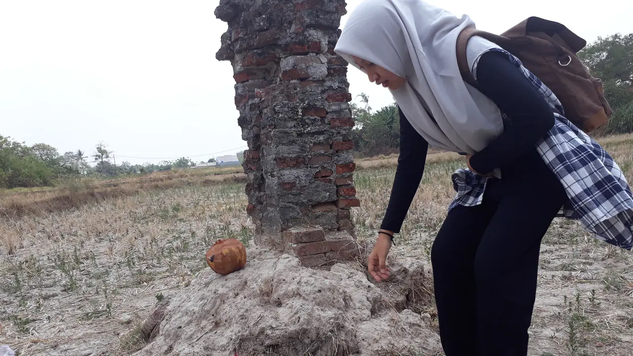 Seorang warga melihat langsung keberadaan batu di sawah, Kecamatan Pinang, Kota Tangerang.