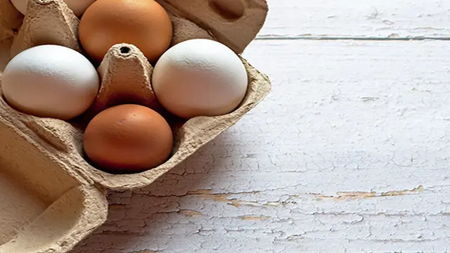 Ilustrasi telur