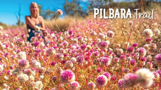 Pilbara Trail terhampar bunga-bunga liar yang mampu membuat orang betah berlama-lama memandanginya.
