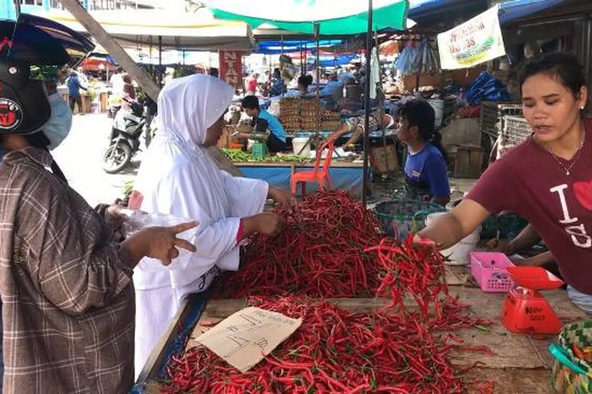 Pemerintah Berencana Bangun Lumbung Pangan Khusus Cabai di Humbang Hasundutan . (Liputan6.com/M Syukur)
