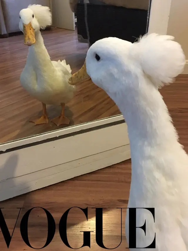 7 Editan Foto Kocak Vogue Challenge Ala Netizen, Bikin Geleng Kepala