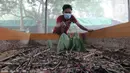 Warga memberikan makan jangkrik di kampung Pasiron, Bojongsari, Depok, Jawa Barat, Senin (7/3/2022). Warga Kampung Pasiron menjual jangkrik tersebut Rp 26 ribu/kg dan digunakan sebagai pakan burung dan ikan. (merdeka.com/Arie Basuki)