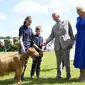 Raja Charles III dan Ratu Camilla melihat Kambing Golden Guernsey yang langka saat mengunjungi Les Cotils di L'Hyvreuse, di Saint Peter Port, Guernsey selama kunjungan dua hari mereka ke Kepulauan Channel, Selasa (16/7/2024). (Andrew Matthews/PA via AP)