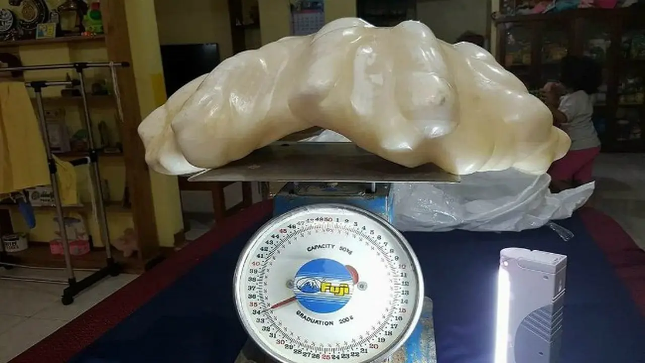 Mutiara raksasa (0)