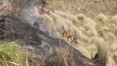 Bertaruh Nyawa Lindungi Warga, 4 Petugas Gugur saat Padamkan Karhutla Bromo
