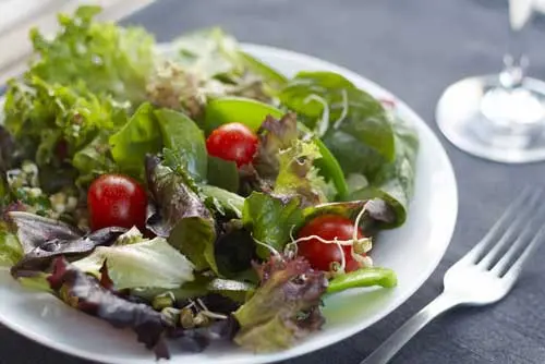salad sehat