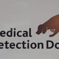 Daisy, anjing cerdas ini bisa mendeteksi kanker pada manusia. Bahkan, dia pernah menyelamatkan nyawa pemiliknya! | via: thesun.co.uk