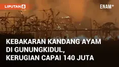 Kebakaran kandang ayam terjadi di Padukuhan A, Grogol, Gunungkidul. Insiden terjadi Sabtu (26/10/2024) pukul 21.40 WIB, tanpa korban jiwa