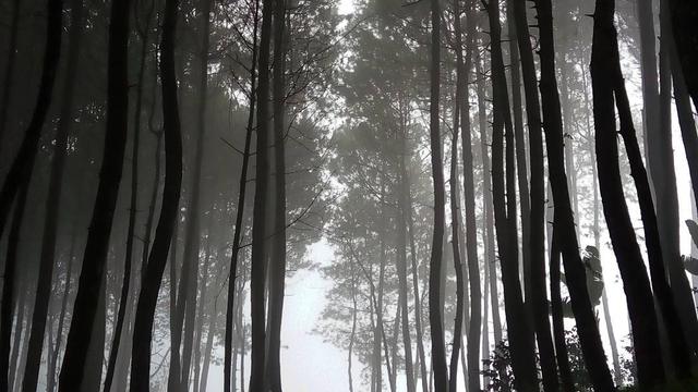 12 Wisata Kota Bandung yang Terbaru dan Hits, Pesona Alamnya Mengagumkan