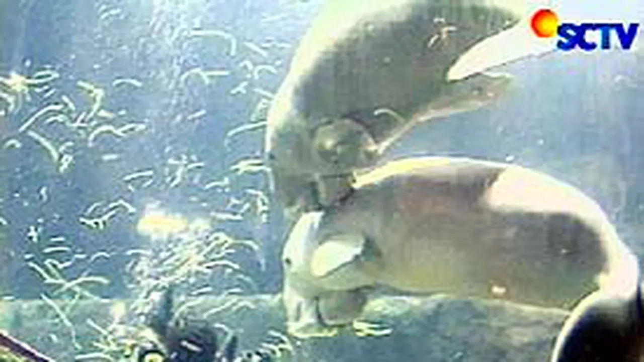 080406cduyung.jpg