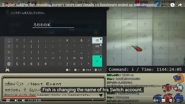 Ikan Cupang Main Game