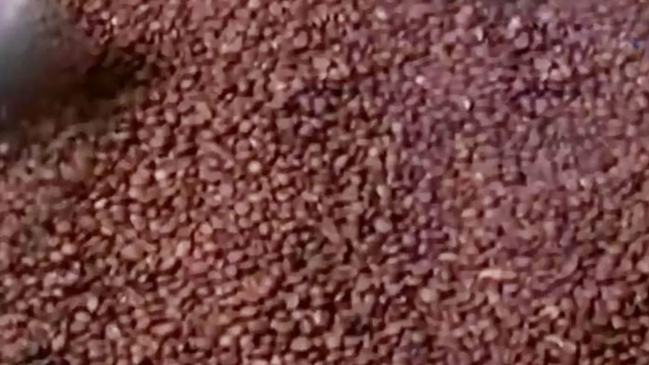 Kopi Mukidi