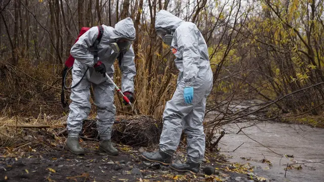 Peneliti Biota Laut di Kamchatka Rusia